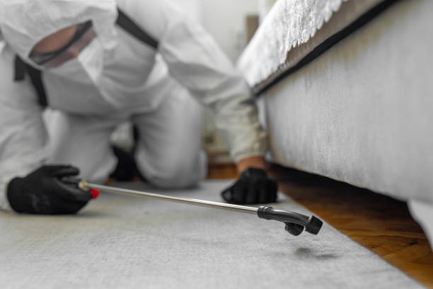 Professional Bed Bug Control technician working in Granville, WV