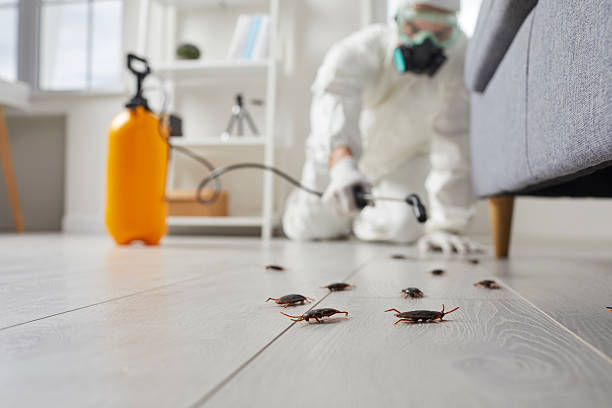 Trusted Cockroach Control service in Granville, WV - Nex Pest Control